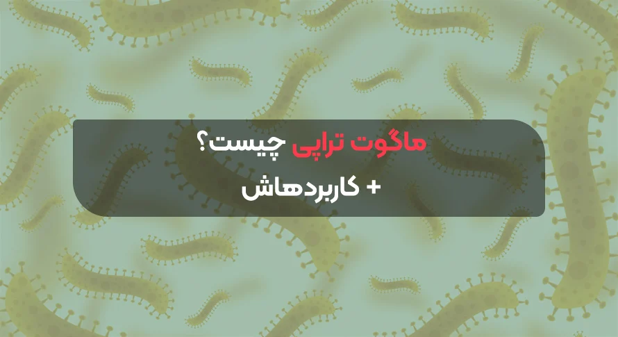 ماگوت تراپی چیست و چه کاربردی دارد؟