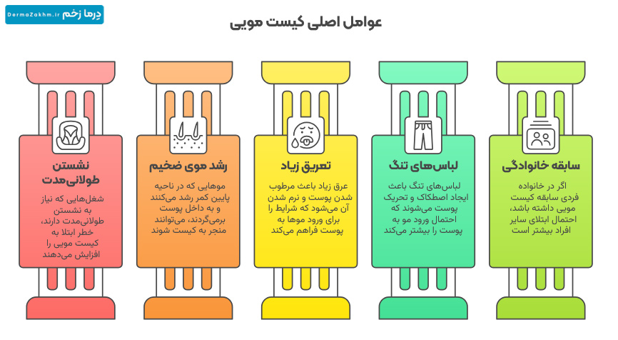 به روایت اینفوگرافیک عوامل اصلی کیست مویی